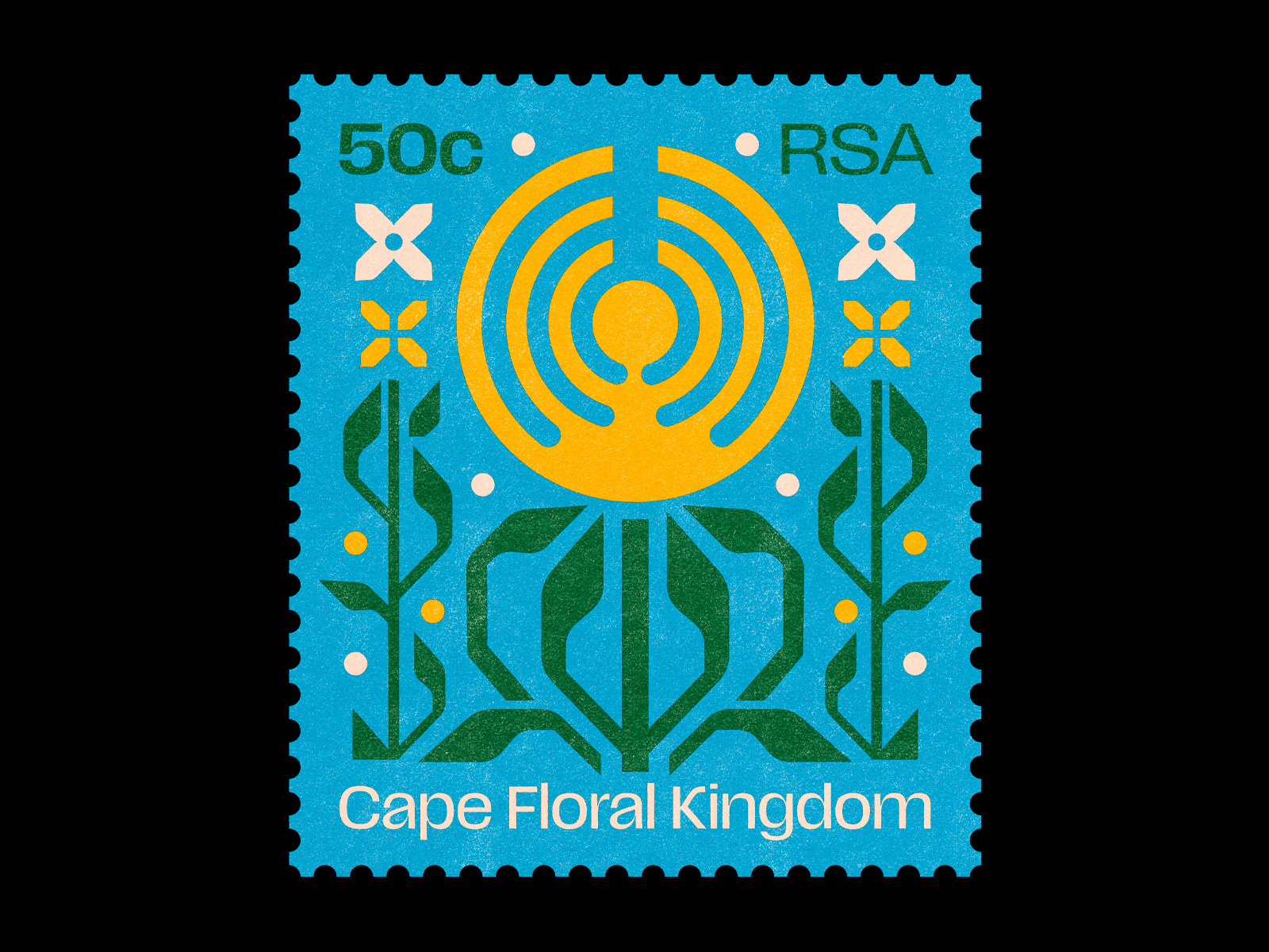 Example of South Africa