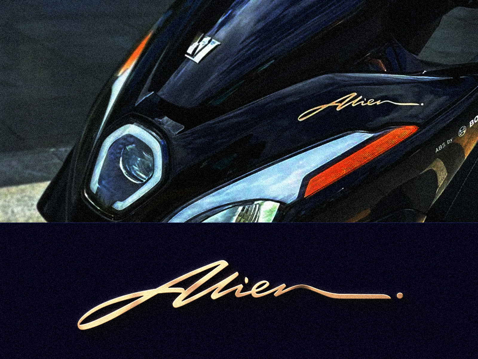 Example of Signature Logotype & Basic Branding 