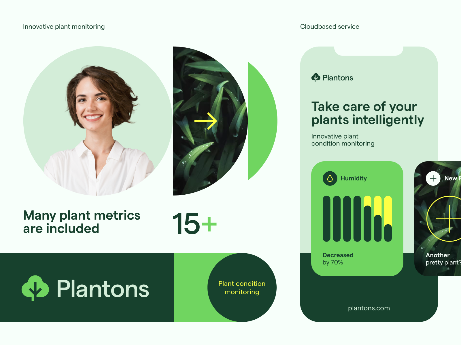 Example of Full Branding Package