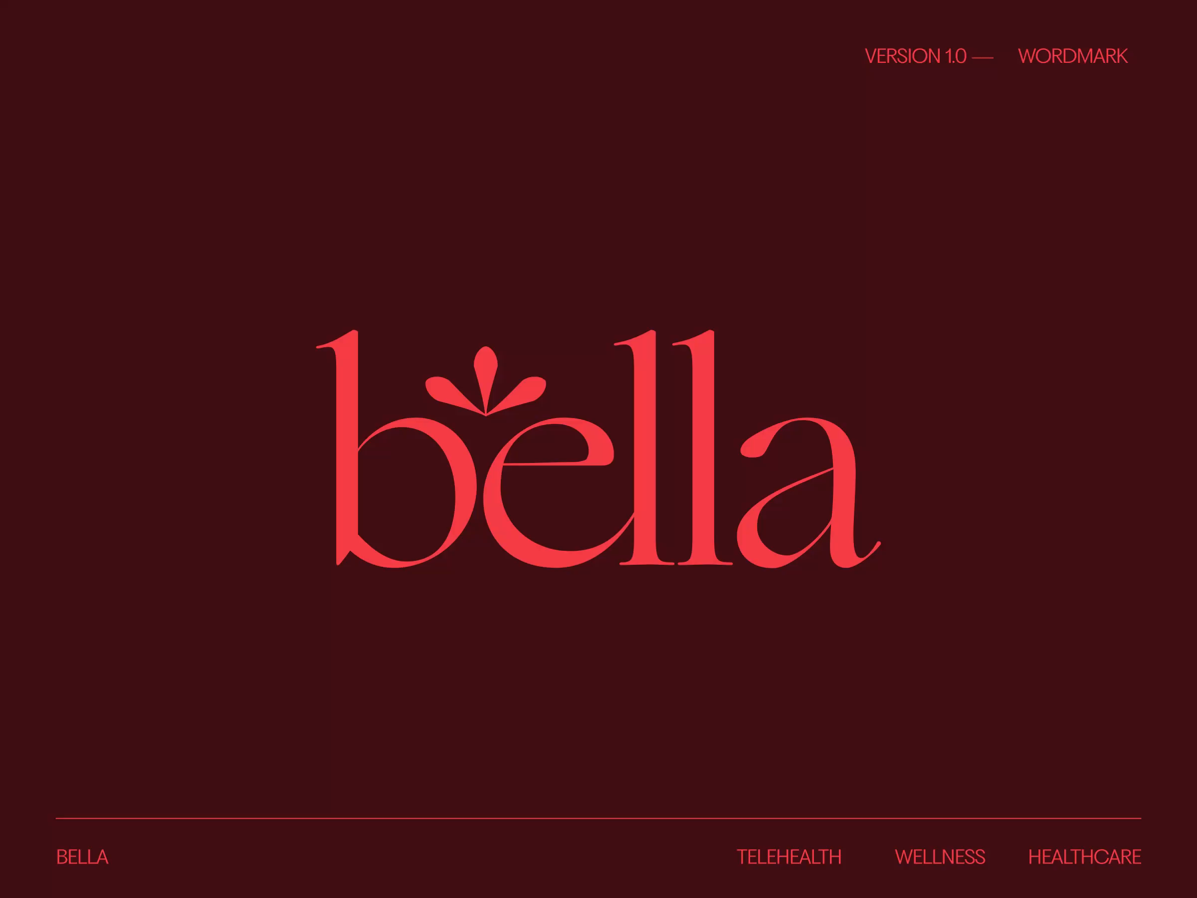 Example of Basic   Logo Design & Brand Guide